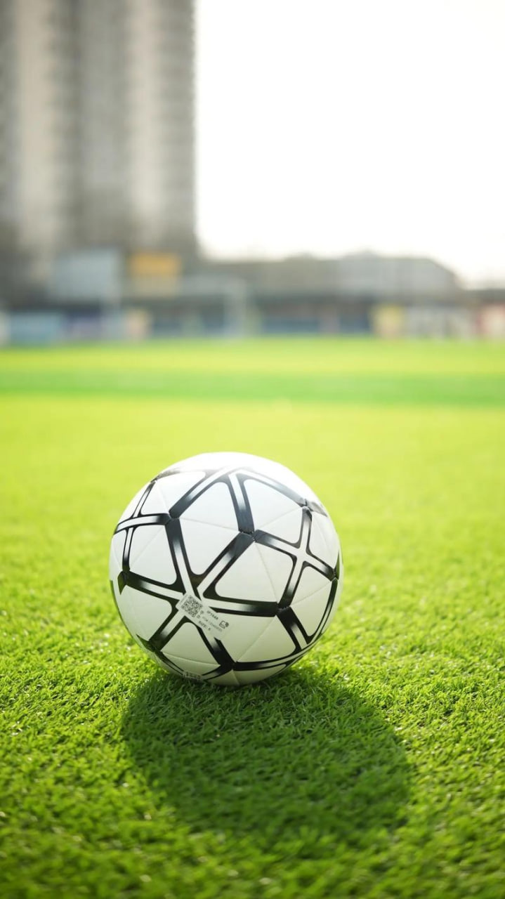 足球爱好者观赛场景